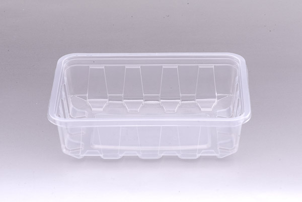 250 GR Şarküteri Kabı